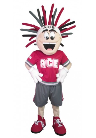 Woodridge Parks District Ace Mascot Costume