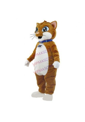 Clean Brown House Cat With Shiny Eyes Mascot Costume