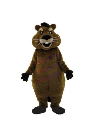 Friendly Adult Free Squirrel Mascot Furry Costume