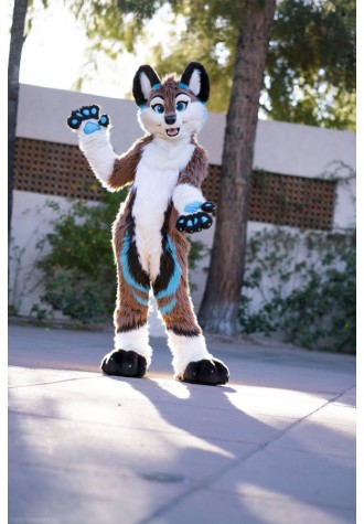 Dog Fox Wolf Fursuit Costume Mascot Costume