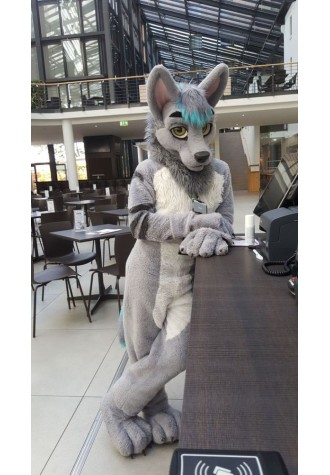 Cute Wolf Fursuit Costume Mascot Costume
