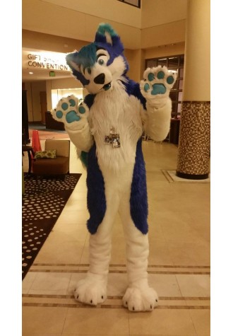 Cute Blue & White Wolf Costume Mascot Costume