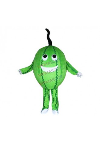 Watermelon Mascot Costume Suit Cosplay Party Game Dress Outfit Halloween Adult