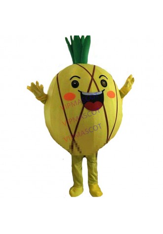 Adults Fruit Pineapple Mascot Costume Suit Party Halloween Fancy Dress Parade US