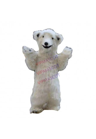 Bear Mascot Costume Cosplay Party Game Dress Outfit Advertising Adults Parade