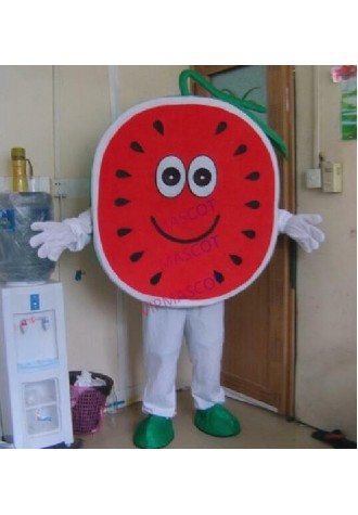 Sale Cartoon Fancy Party Dress Adult Size Watermelon Cartoon Mascot Costume Suit