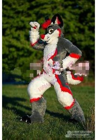 Grey Long Fur Husky Dog Fox Fursuit Mascot Costume Cosplay Fancy Dress Adults US