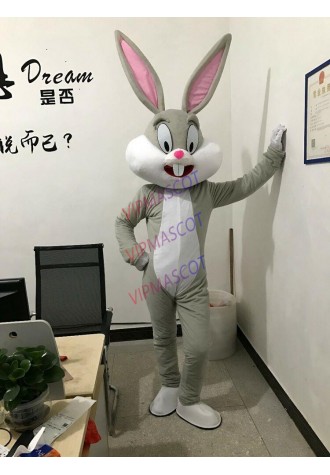 Professional Easter Bunny Mascot Costumes Rabbit And Bugs Bunny Adult Mascot For