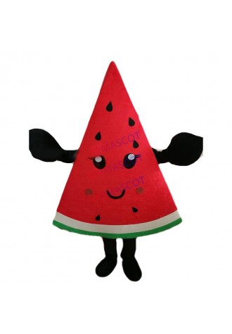 Professional Watermelon Cartoon Mascot Costume Facny Dress Reenactment Adult Siz