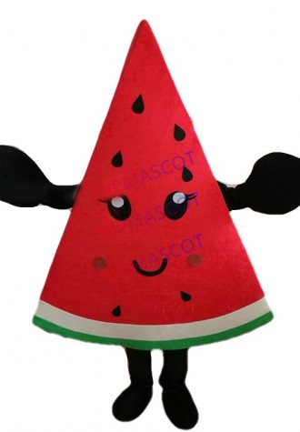 Professional Watermelon Cartoon Mascot Costume Facny Dress Reenactment Adult Siz