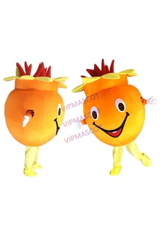 Pomegranate Mascot Costumes Crayon Cartoon Apparel Birthday party Masquerade