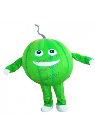 Adult Fruit Watermelon Mascot Costume Suit Party Halloween Carnival Fancy Dress