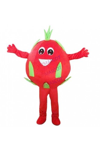 Fruit Mascot Costume Cosplay Party Game Dress Outfit Advertising Halloween Adult