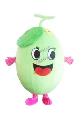 Hot sale Cartoon Character cute Muskmelon Mascot Costume party costume Adult Size