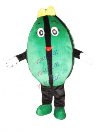 Hot sale Adult Watermelon Costumes Fruit cartoon Mascot Costumes Holloween Mascot