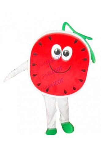 watermelon mascot costume animal cartoon costume adult children party fancy dress mascot costume free shipping