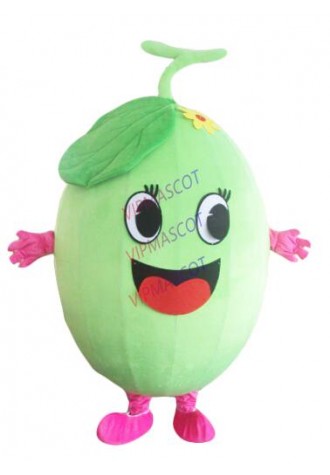 The cutest EVA Material watermelon Mascot Costume Fruit Cartoon Apparel Halloween Birthday party Cosplay 562