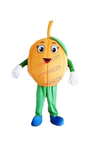 Most beautiful EVA Material Vegetables pumpkin Mascot Costumes Crayon Cartoon Apparel Birthday party Masquerade 955