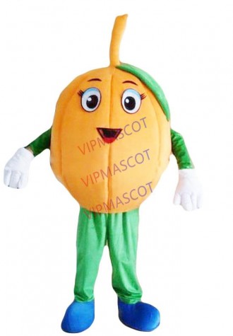 Most beautiful EVA Material Vegetables pumpkin Mascot Costumes Crayon Cartoon Apparel Birthday party Masquerade 955