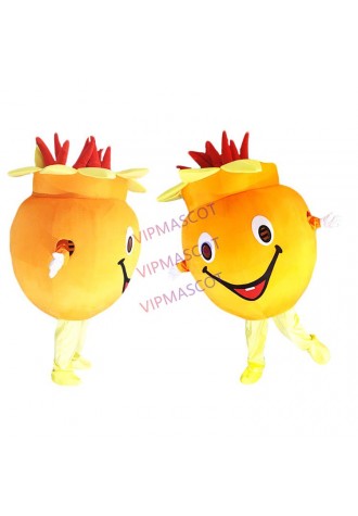 Pomegranate Mascot Costumes Crayon Cartoon Apparel Birthday party Masquerade