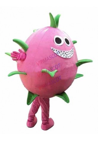 mascot Pink Pitaya Cactus Dragon Fruit Pitaya Mascot Costume Dragon Fruit Pitaya Cartoon Character Fancy Dress