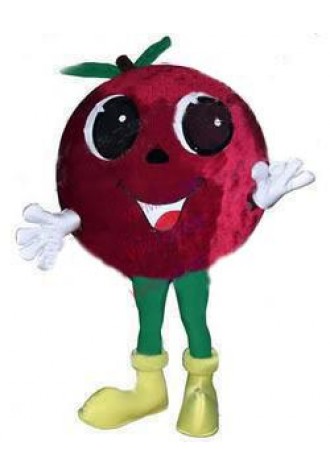 Hot sale Cute Adult Red Bayberry Fruit Mascot Costume Waxberry Myrica Rubra Wax Myrtle Fancy Dress Cartoon Outfit Suit