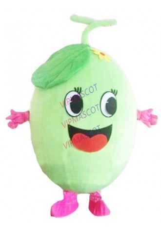 melon masot costume custom cartoon character cosplay adult size carnival costume 3135