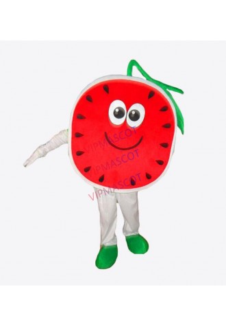 Factory direct EVA Material watermelon Mascot Costume Fruit Cartoon Apparel Halloween Birthday party Cosplay 562