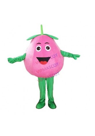 Peach Mascot Costume Adult Character Costume Cosplay Mascot Costume