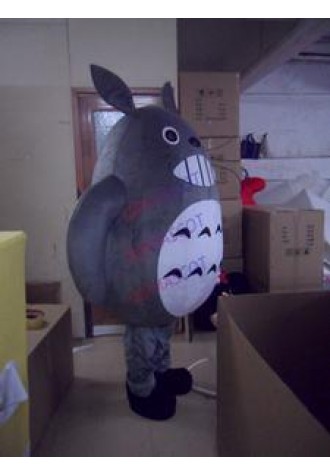 Factory direct EVA material manufacturing Totoro mascot clothing cartoon clothing unisex custom size 08
