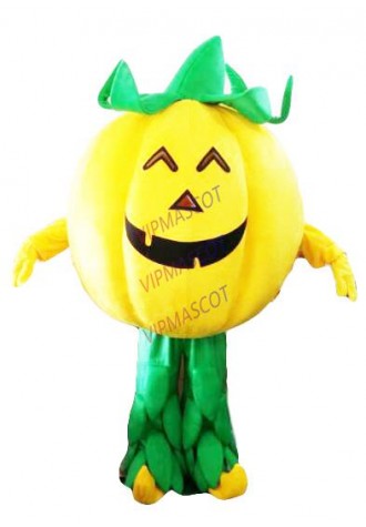 Halloween pumpkin Mascot Costume  fancy dress costume animal Party