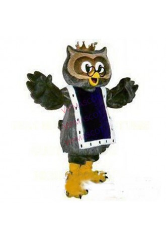 Professional Custom New Anime Cosply Costumes Grey Champion Owl Mascot Costume Fancy Cartoon Character Owl Theme Mascotte1840