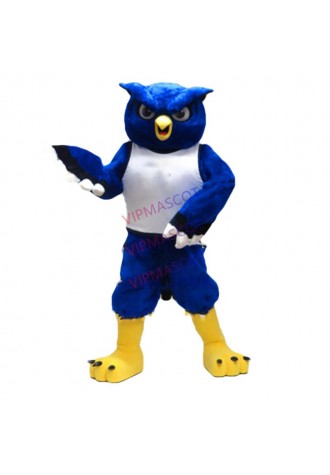 BLUE Night Owl Mascot Costume Adult Cartoon Character HOOT THEME Anime Cosply Costumes Mascotte Fancy Dress Kits for School 2078