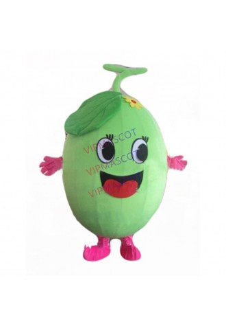 promotion crisp melon mascot costume wholesale adult size cartoon melon theme anime cosplay costumes carnival fancy dress 2612