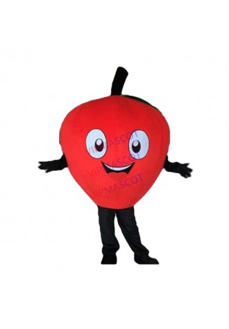 Fruit mascot costume Apple cartoon costume adult children party fancy dress