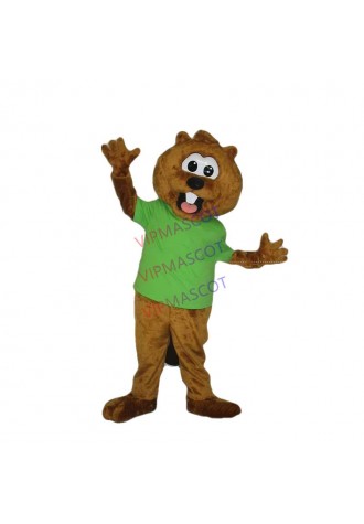 Rapid MaKe Vibrant picture squirrel Mascot Costume for Halloween christmas Party Costume Cartoon costume 303