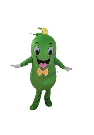 Hot Sale Character Adult Lovely Cucumber Mascot Costume Vegetable Outfit Fancy Dress Halloween Party Costume