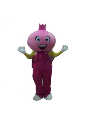 cosplay costume Pink pomegranate Cartoon Character Costume cosplay mascot Custom Products