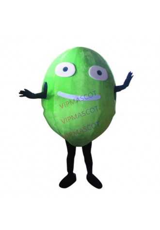 New arrival Cartoon Character Adult cute green monster Mascot Fancy Dress party Costume adult size