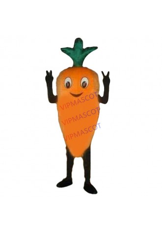 Hot selling Cute Adult cute Adult orange have Cartoon MASCOT COSTUME Fancy Dress Halloween