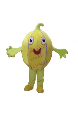 Hot selling Adult cute Hot Gold Cantaloupe Mascot Costume Melon Mascot Costume Holloween Costume