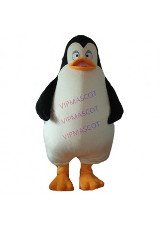 Professional Custom Hot Sale Mascot Cute Penguin Private Mascot Costume Adult Cartoon Character Mascotte Fancy1977
