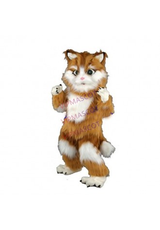 High quality EVA Material Helmet Simulation fur cat Mascot Costumes walking cartoon Apparel Birthday party 075