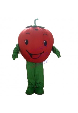 Rapid Make Two styles EVA Material tomato Mascot Costume fruit Cartoon Apparel Cosplay advertisement 587