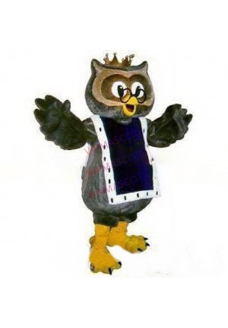 Can be washed with water EVA Material owl Mascot Costumes Unisex cartoon Apparel Cosplay 250