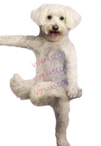 EVA Material Helmet gymnastics dog Mascot Costumes Cartoon Apparel Birthday party Masquerade 1012