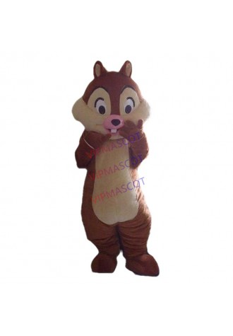New arrival Cartoon Character Top Selling squirrel Mascot Costume for party SIZE