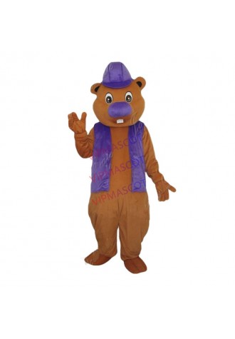 Hot selling Foam Adult cartoon character lovely bear Mascot Costume fancy dress party costumes