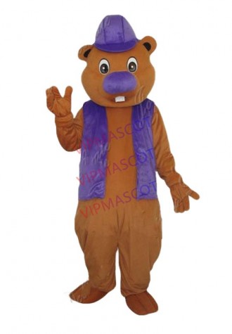 Hot selling Foam Adult cartoon character lovely bear Mascot Costume fancy dress party costumes