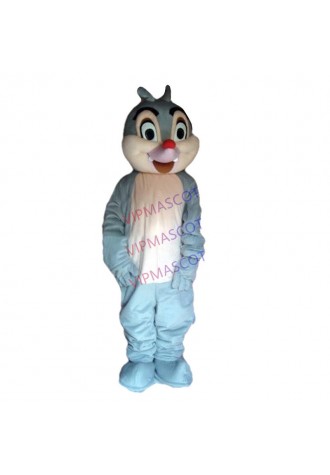 Hot sale Foam Cartoon Character cute New Squirrel Chipmunk Mascot Costume party costume Adult Size